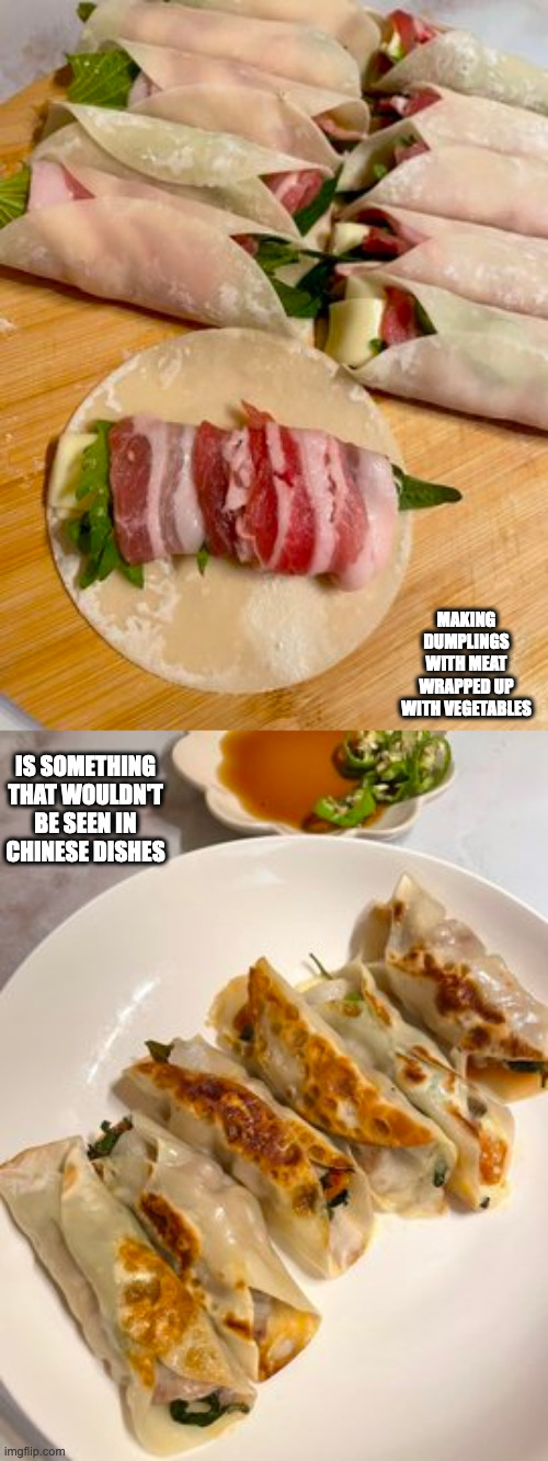 Nikumaki Gyoza | MAKING DUMPLINGS WITH MEAT WRAPPED UP WITH VEGETABLES; IS SOMETHING THAT WOULDN'T BE SEEN IN CHINESE DISHES | image tagged in dumplings,memes,food | made w/ Imgflip meme maker