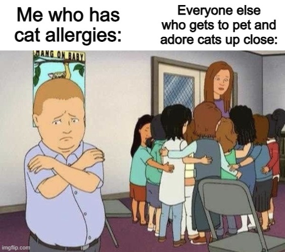 To those who don't have allergies, you should be very thankful :D | Everyone else who gets to pet and adore cats up close:; Me who has cat allergies: | image tagged in left out | made w/ Imgflip meme maker