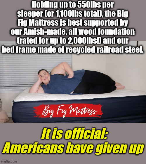 Holding up to 550lbs per sleeper (or 1,100lbs total), the Big Fig Mattress is best supported by our Amish-made, all wood foundation (rated for up to 2,000lbs!) and our bed frame made of recycled railroad steel. It is official:
Americans have given up | image tagged in surrender,amerians,fat | made w/ Imgflip meme maker