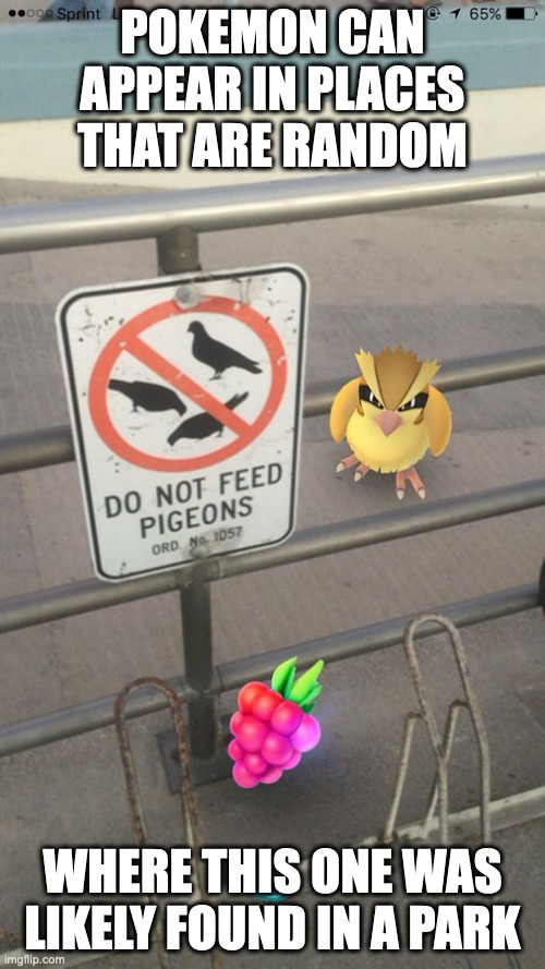 Bird Pokemon Found in Park | POKEMON CAN APPEAR IN PLACES THAT ARE RANDOM; WHERE THIS ONE WAS LIKELY FOUND IN A PARK | image tagged in pokemon,pokemon go,memes | made w/ Imgflip meme maker