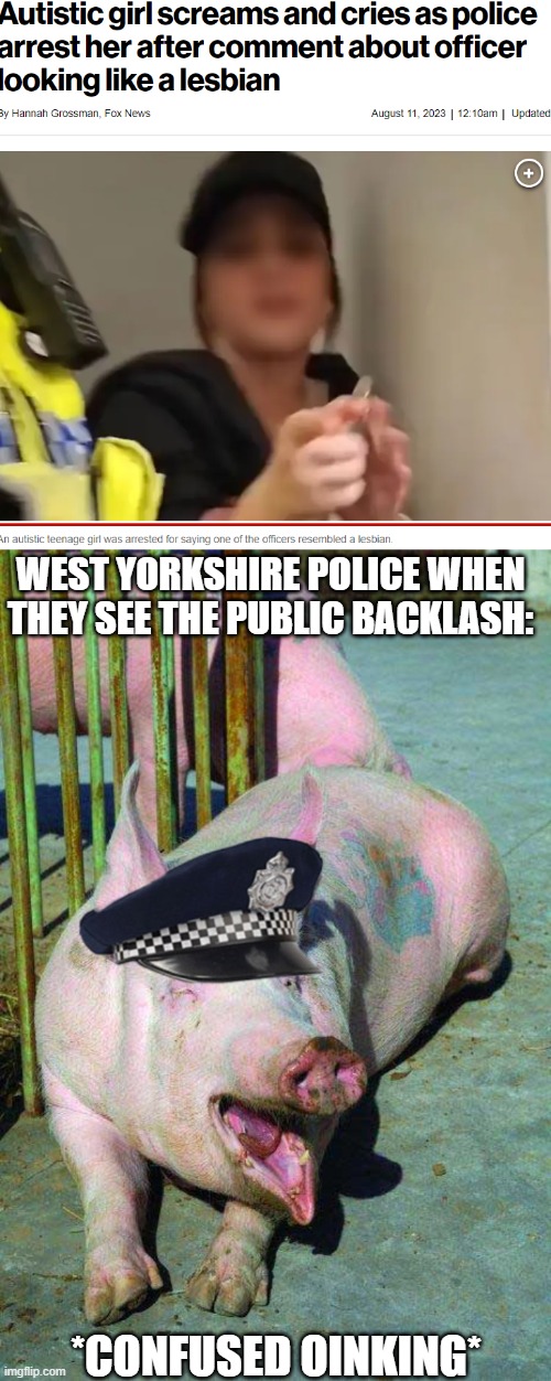 West Yorkshire Pigs | WEST YORKSHIRE POLICE WHEN THEY SEE THE PUBLIC BACKLASH:; *CONFUSED OINKING* | image tagged in pig police,pigs,police,police brutality | made w/ Imgflip meme maker