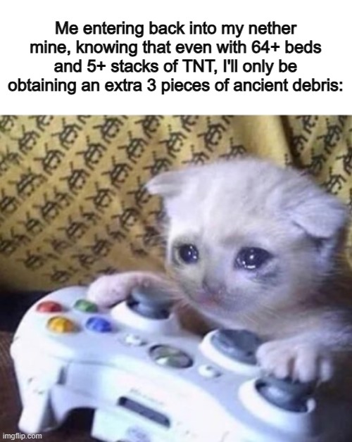 I actually get very lucky with ancient debris :] | Me entering back into my nether mine, knowing that even with 64+ beds and 5+ stacks of TNT, I'll only be obtaining an extra 3 pieces of ancient debris: | image tagged in cat sad controller | made w/ Imgflip meme maker