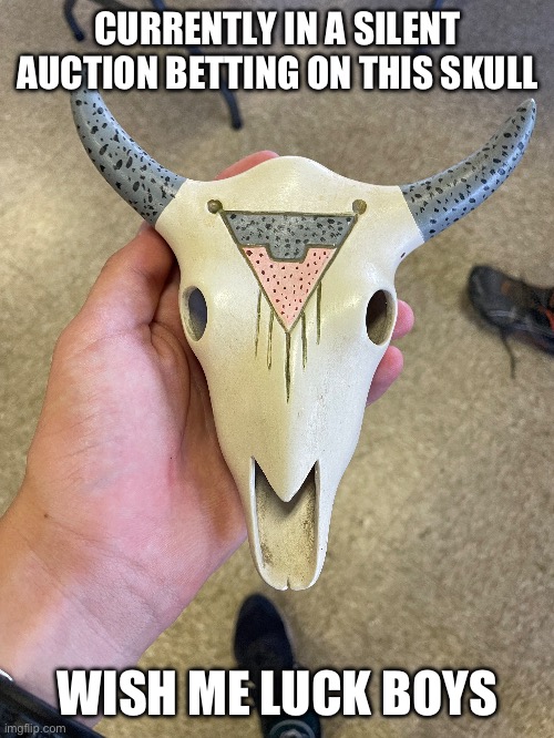 CURRENTLY IN A SILENT AUCTION BETTING ON THIS SKULL; WISH ME LUCK BOYS | made w/ Imgflip meme maker