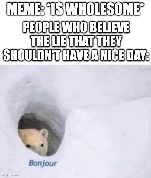 Bruh I swear all of you should just take a compliment. | MEME: *IS WHOLESOME*; PEOPLE WHO BELIEVE THE LIE THAT THEY SHOULDN'T HAVE A NICE DAY: | image tagged in bonjour,wholesome,nohitwonder,memes | made w/ Imgflip meme maker