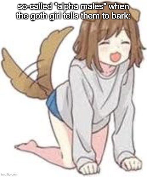 So-Called "Alpha Males" when the goth girl tells them to bark | so-called "alpha males" when the goth girl tells them to bark: | image tagged in so-called alpha males when the goth girl tells them to bark | made w/ Imgflip meme maker