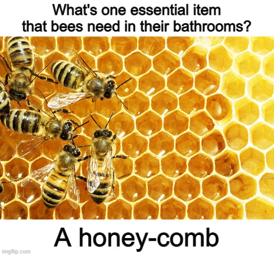 Ngl, this one is painfully stupid :/ | What's one essential item that bees need in their bathrooms? A honey-comb | made w/ Imgflip meme maker