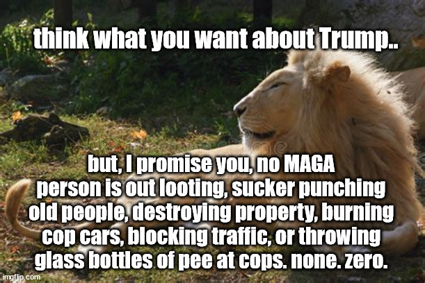 no MAGA people doing that. | think what you want about Trump.. but, I promise you, no MAGA person is out looting, sucker punching old people, destroying property, burning cop cars, blocking traffic, or throwing glass bottles of pee at cops. none. zero. | image tagged in president trump,behavior | made w/ Imgflip meme maker