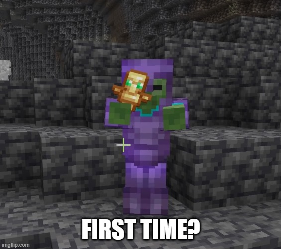 Netherite Zombie | FIRST TIME? | image tagged in netherite zombie | made w/ Imgflip meme maker