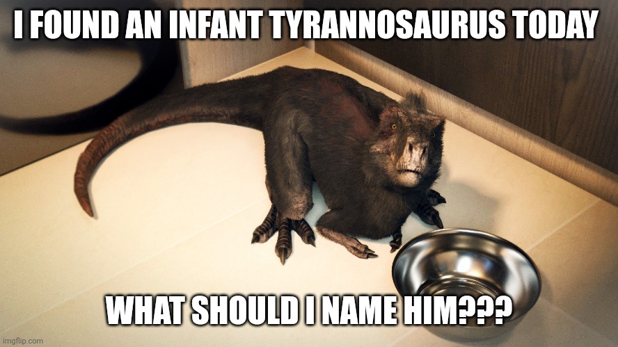 Name this T-Rex (Will announce the name I like best tomorrow) | I FOUND AN INFANT TYRANNOSAURUS TODAY; WHAT SHOULD I NAME HIM??? | image tagged in memes,dinosaurs,trex,adorable,names | made w/ Imgflip meme maker