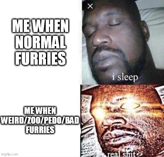 i sleep real shit | ME WHEN NORMAL FURRIES; ME WHEN WEIRD/ZOO/PEDO/BAD FURRIES | image tagged in i sleep real shit | made w/ Imgflip meme maker