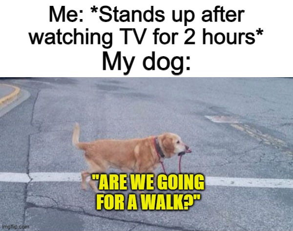 I've seen this happen lots XD | Me: *Stands up after watching TV for 2 hours*; My dog:; "ARE WE GOING FOR A WALK?" | image tagged in dog walking itself | made w/ Imgflip meme maker