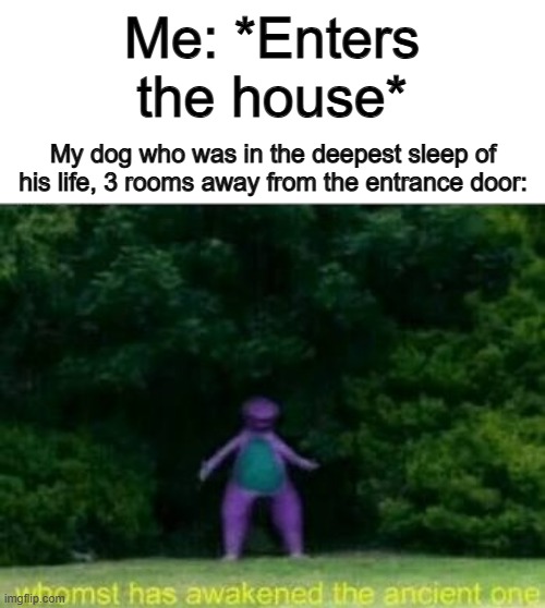 How do they realize... | Me: *Enters the house*; My dog who was in the deepest sleep of his life, 3 rooms away from the entrance door: | image tagged in whomst has awakened the ancient one | made w/ Imgflip meme maker