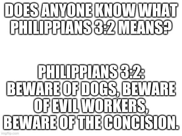 DOES ANYONE KNOW WHAT PHILIPPIANS 3:2 MEANS? PHILIPPIANS 3:2: BEWARE OF DOGS, BEWARE OF EVIL WORKERS, BEWARE OF THE CONCISION. | made w/ Imgflip meme maker
