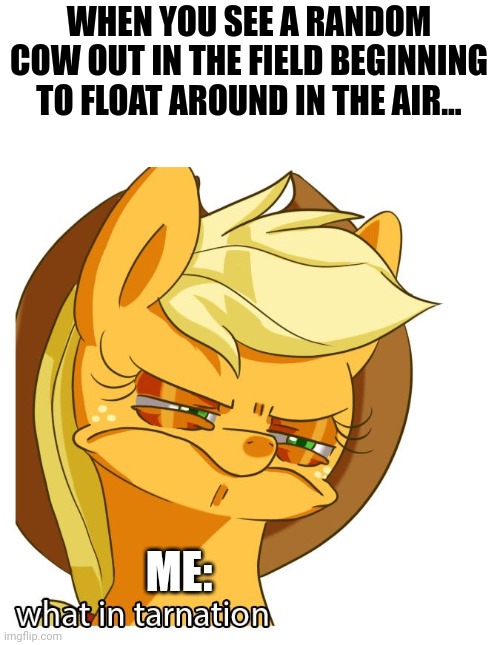 Now cows are floating... Must be the apocalypse or something | WHEN YOU SEE A RANDOM COW OUT IN THE FIELD BEGINNING TO FLOAT AROUND IN THE AIR... ME: | image tagged in what in tarnation applejack | made w/ Imgflip meme maker