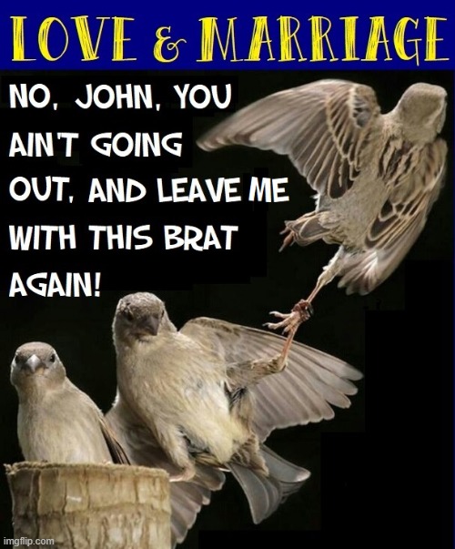 Marriage is for the Birds | image tagged in vince vance,birds,memes,love and marriage,going out,nest | made w/ Imgflip meme maker
