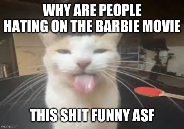 Cat | WHY ARE PEOPLE HATING ON THE BARBIE MOVIE; THIS SHIT FUNNY ASF | image tagged in cat | made w/ Imgflip meme maker