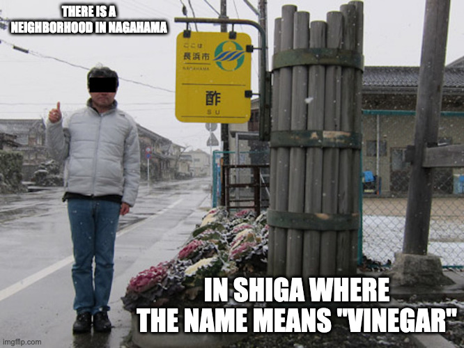 Su, Nagahama | THERE IS A NEIGHBORHOOD IN NAGAHAMA; IN SHIGA WHERE THE NAME MEANS "VINEGAR" | image tagged in neighborhood,memes | made w/ Imgflip meme maker