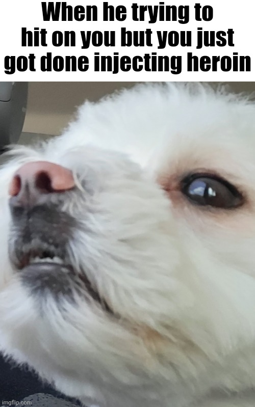 When he trying to hit on you but you just got done injecting heroin | made w/ Imgflip meme maker