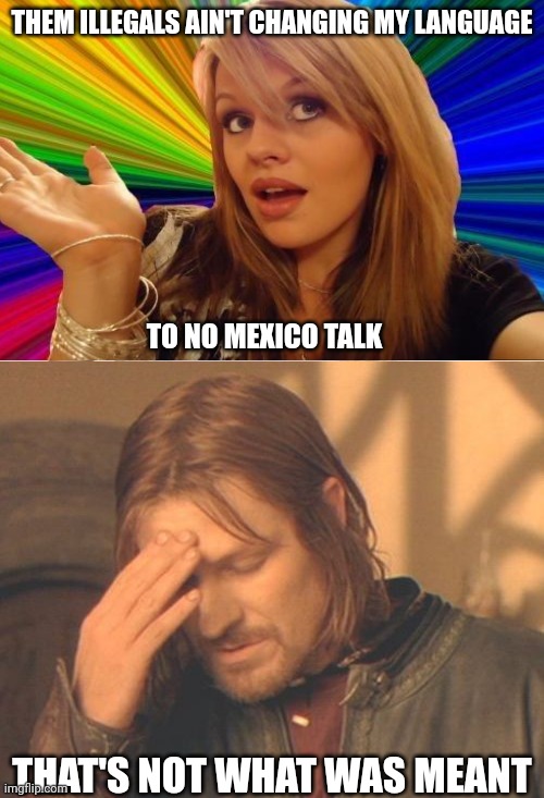 Dumb Blonde Frustrated Boromir | THEM ILLEGALS AIN'T CHANGING MY LANGUAGE TO NO MEXICO TALK THAT'S NOT WHAT WAS MEANT | image tagged in dumb blonde frustrated boromir | made w/ Imgflip meme maker
