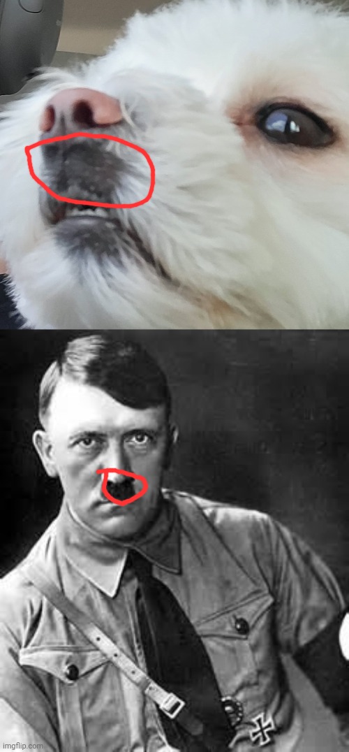 image tagged in adolf hitler | made w/ Imgflip meme maker