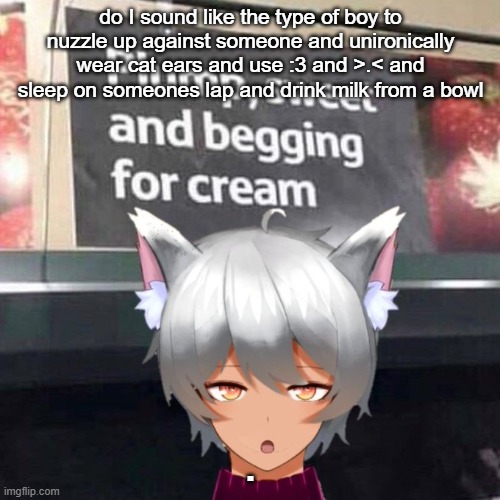 girl* srry | do I sound like the type of boy to nuzzle up against someone and unironically wear cat ears and use :3 and >.< and sleep on someones lap and drink milk from a bowl; . | image tagged in me asf | made w/ Imgflip meme maker