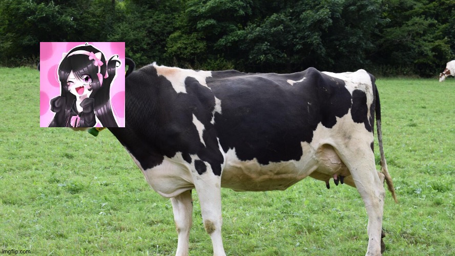 Hey cow, does someone want to harass you? | image tagged in funny,cow,girl,bullying | made w/ Imgflip meme maker