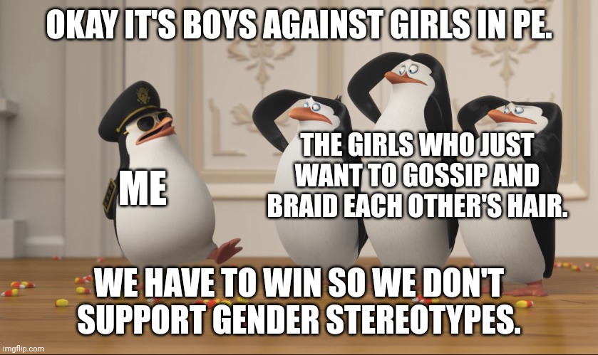 Saluting skipper | OKAY IT'S BOYS AGAINST GIRLS IN PE. THE GIRLS WHO JUST WANT TO GOSSIP AND BRAID EACH OTHER'S HAIR. ME; WE HAVE TO WIN SO WE DON'T SUPPORT GENDER STEREOTYPES. | image tagged in saluting skipper | made w/ Imgflip meme maker