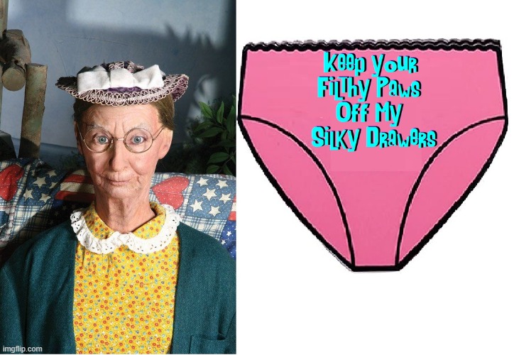 Don't look at me like that. I had a life... once, just like you! | image tagged in vince vance,beverly hillbillies,memes,granny,drawers,underwear | made w/ Imgflip meme maker