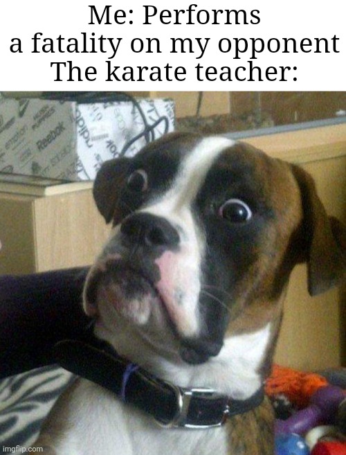 wait what | Me: Performs a fatality on my opponent

The karate teacher: | image tagged in dogs,what,memes | made w/ Imgflip meme maker