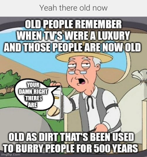 Yeah there old now | THERE ARE | image tagged in your damn right they are,those people are old now,grandparents age,tv's used to be a luxury kids | made w/ Imgflip meme maker