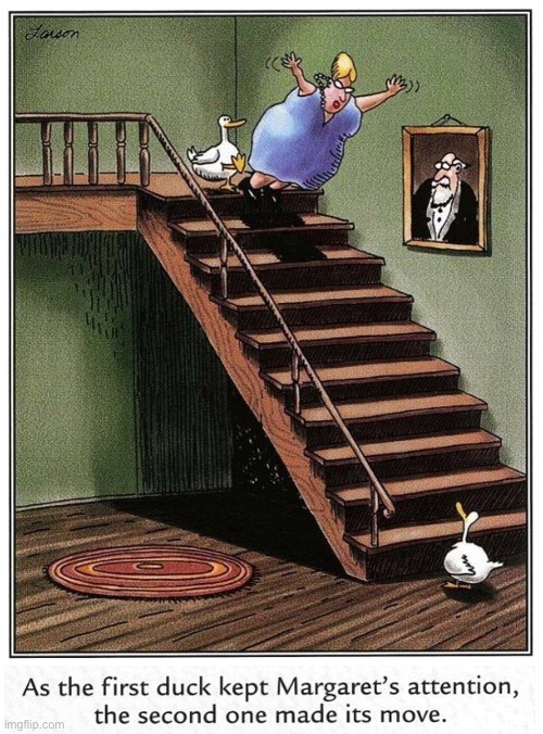Fall on stairs | image tagged in stairs,tripped up,by duck,ducks,comics | made w/ Imgflip meme maker