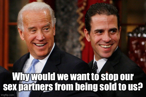 Hunter Biden Crack Head | Why would we want to stop our sex partners from being sold to us? | image tagged in hunter biden crack head | made w/ Imgflip meme maker