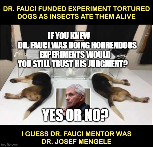 Fauci torturing dogs | IF YOU KNEW               DR. FAUCI WAS DOING HORRENDOUS 
 EXPERIMENTS WOULD YOU STILL TRUST HIS JUDGMENT? YES OR NO? | image tagged in fauci torturing dogs | made w/ Imgflip meme maker