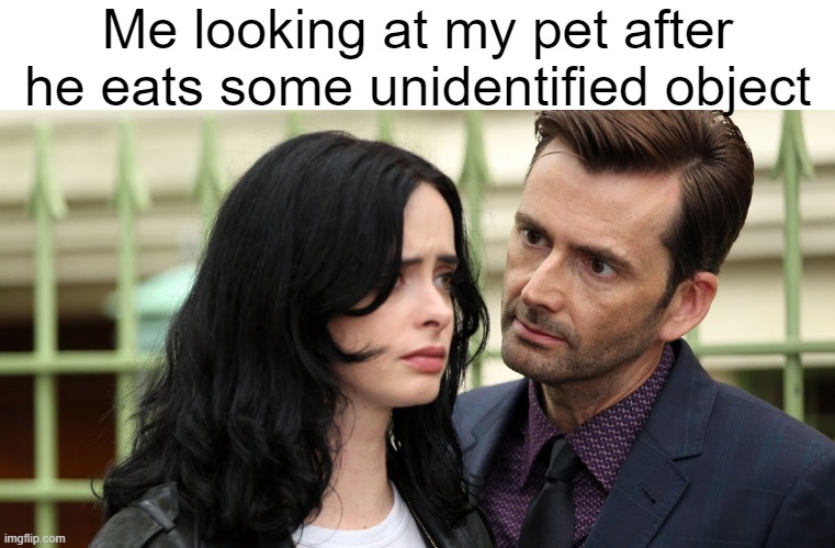 cough it up | Me looking at my pet after he eats some unidentified object | image tagged in jessica jones death stare,pets | made w/ Imgflip meme maker