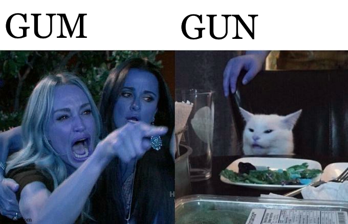 Woman Yelling At Cat Meme | GUM GUN | image tagged in memes,woman yelling at cat | made w/ Imgflip meme maker