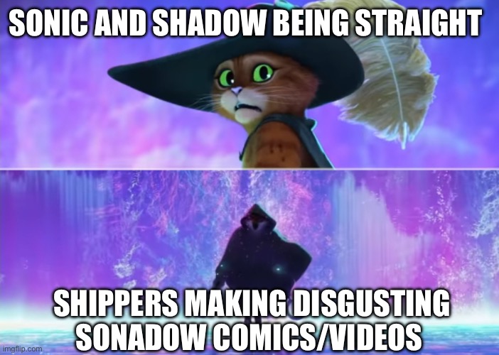 I support gays, but not SHIPPERS. (Not meant to offend anyone) | SONIC AND SHADOW BEING STRAIGHT; SHIPPERS MAKING DISGUSTING SONADOW COMICS/VIDEOS | image tagged in puss and boots scared | made w/ Imgflip meme maker