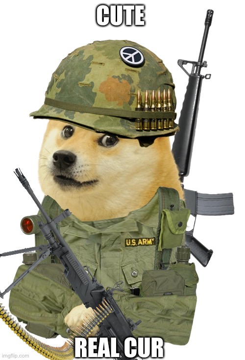 Vietnam war doge | CUTE; REAL CUTE | image tagged in vietnam war doge | made w/ Imgflip meme maker