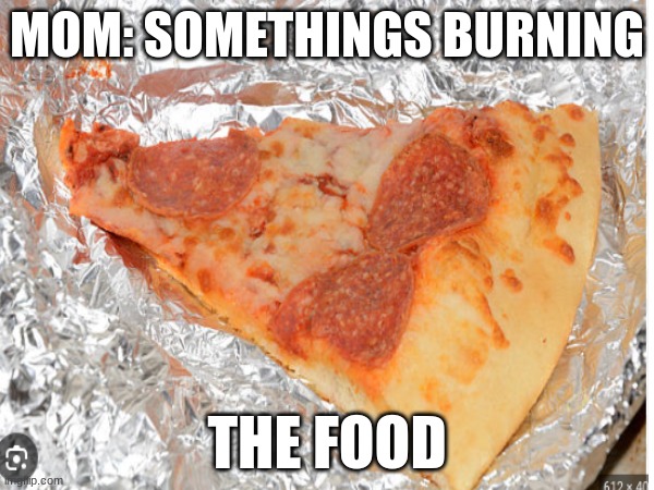 you remember this | MOM: SOMETHINGS BURNING; THE FOOD | image tagged in bruh moment | made w/ Imgflip meme maker