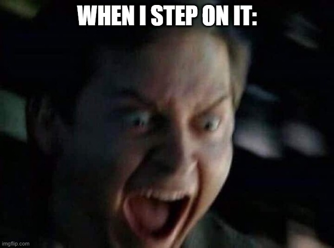 Screaming Peter Parker | WHEN I STEP ON IT: | image tagged in screaming peter parker | made w/ Imgflip meme maker