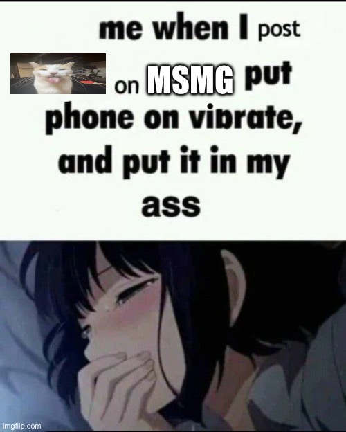 Frfr moment | MSMG | image tagged in me when i post x on x put my phone on vibrate shove it up ass | made w/ Imgflip meme maker