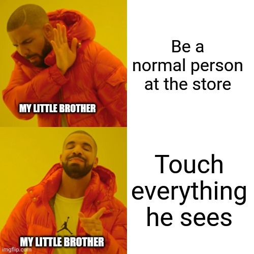 Tell me why this is true, I need to see your funny answers. | Be a normal person at the store; MY LITTLE BROTHER; Touch everything he sees; MY LITTLE BROTHER | image tagged in memes,drake hotline bling,walmart,little brother,idiots | made w/ Imgflip meme maker