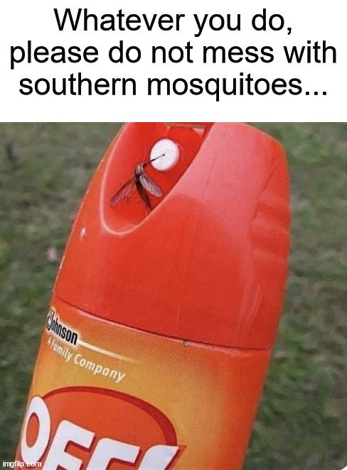 I never knew they could drink bug spray lol | Whatever you do, please do not mess with southern mosquitoes... | image tagged in memes,funny,funny memes,mosquito,bug spray,oh no | made w/ Imgflip meme maker