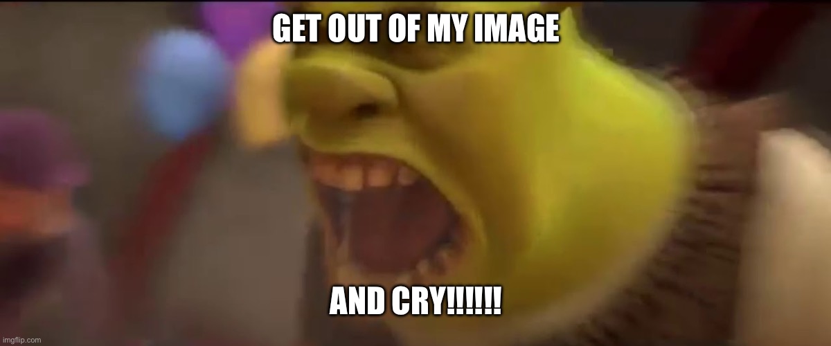 Shrek Screaming | GET OUT OF MY IMAGE AND CRY!!!!!! | image tagged in shrek screaming | made w/ Imgflip meme maker