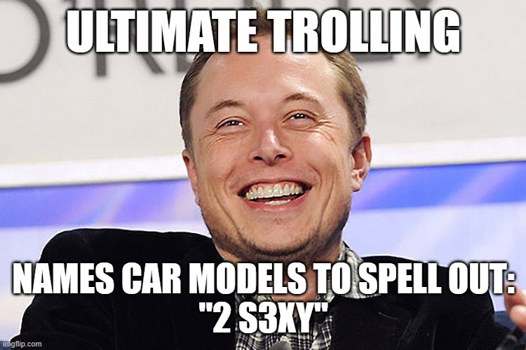 Elon musk | ULTIMATE TROLLING; NAMES CAR MODELS TO SPELL OUT:
"2 S3XY" | image tagged in elon musk | made w/ Imgflip meme maker