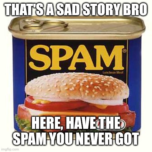 spam | THAT'S A SAD STORY BRO HERE, HAVE THE SPAM YOU NEVER GOT | image tagged in spam | made w/ Imgflip meme maker