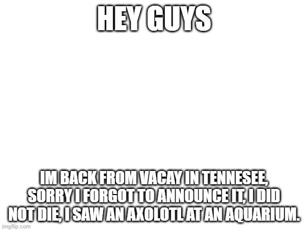 HEY GUYS; IM BACK FROM VACAY IN TENNESEE, SORRY I FORGOT TO ANNOUNCE IT, I DID NOT DIE, I SAW AN AXOLOTL AT AN AQUARIUM. | image tagged in yes,axolotl | made w/ Imgflip meme maker