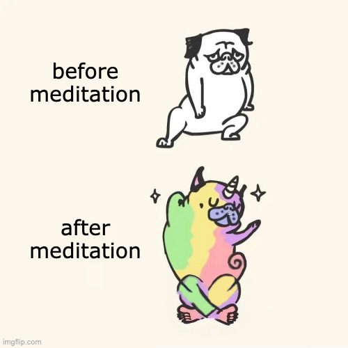 Before and after meditation | before
meditation; after
meditation | image tagged in meditation,dog meditation funny | made w/ Imgflip meme maker