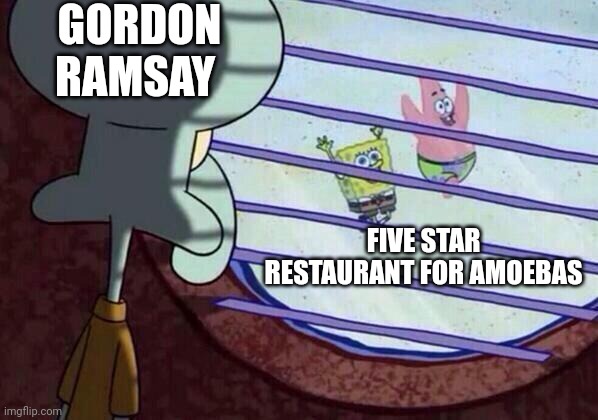 A five star restaurant for amoebas | GORDON RAMSAY; FIVE STAR RESTAURANT FOR AMOEBAS | image tagged in squidward window | made w/ Imgflip meme maker