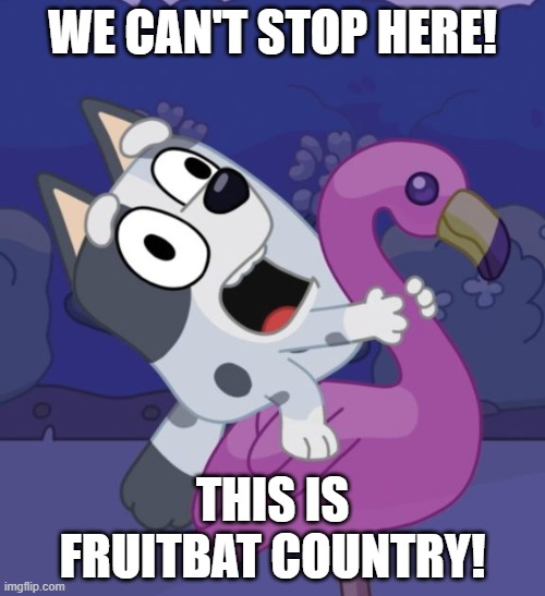 Bluey Crazy Muffin | WE CAN'T STOP HERE! THIS IS FRUITBAT COUNTRY! | image tagged in bluey crazy muffin | made w/ Imgflip meme maker