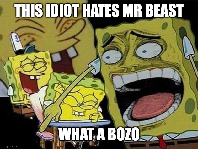 Spongebob laughing Hysterically | THIS IDIOT HATES MR BEAST WHAT A BOZO | image tagged in spongebob laughing hysterically | made w/ Imgflip meme maker